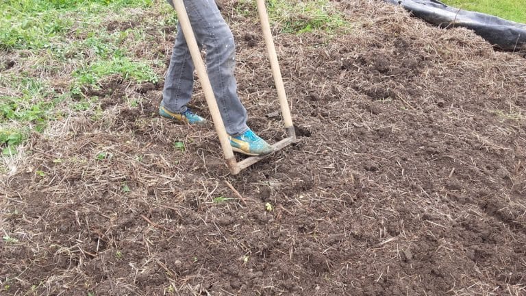 Fini de bêcher pour retourner la terre, vive l'outil magique qu'est la grelinette